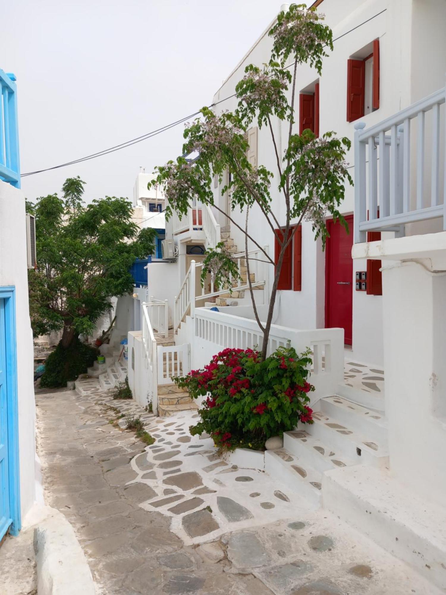 Alex Oldtown Sea View Rooms And Appartments Mykonos Town Εξωτερικό φωτογραφία