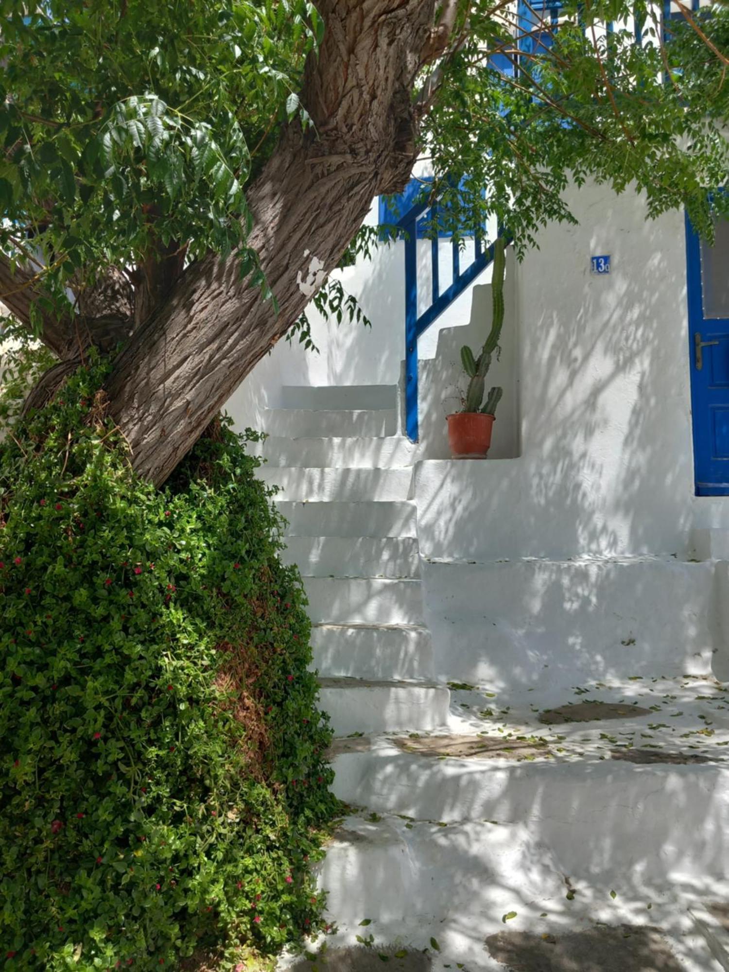 Alex Oldtown Sea View Rooms And Appartments Mykonos Town Δωμάτιο φωτογραφία
