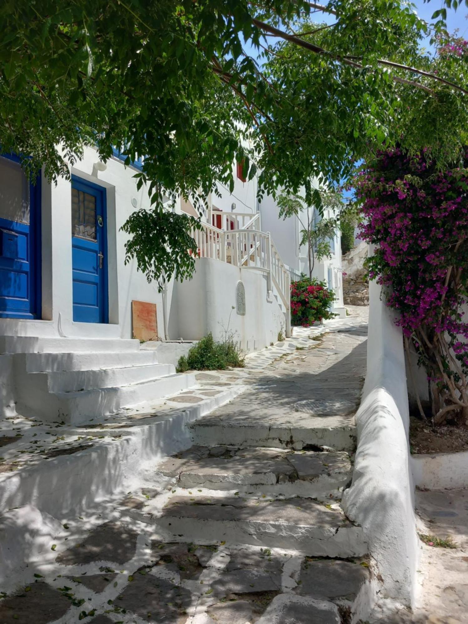 Alex Oldtown Sea View Rooms And Appartments Mykonos Town Δωμάτιο φωτογραφία