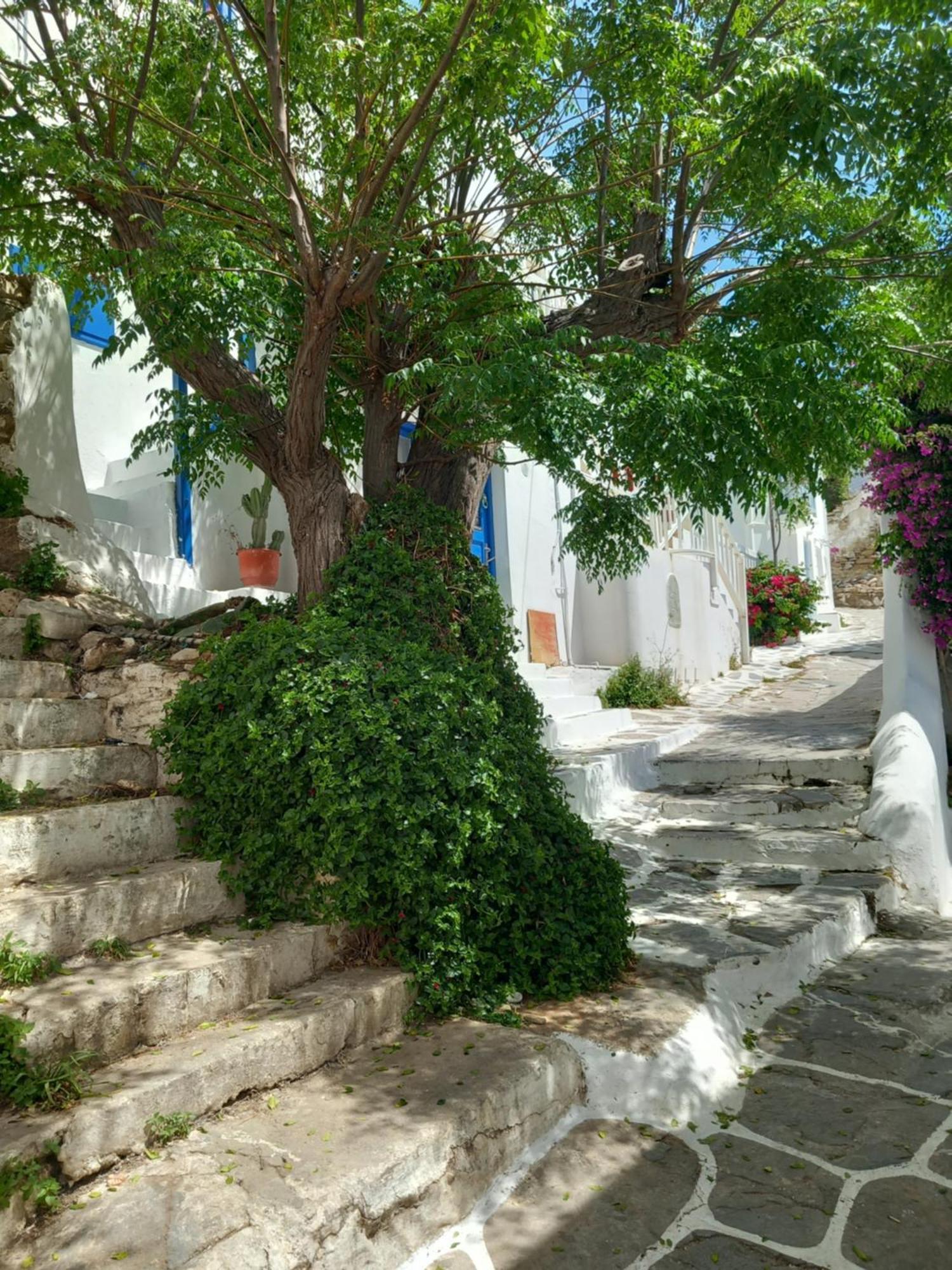 Alex Oldtown Sea View Rooms And Appartments Mykonos Town Εξωτερικό φωτογραφία
